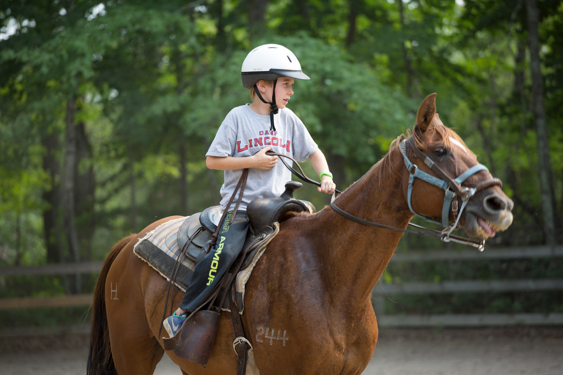 What are some ways to gain confidence riding horses?