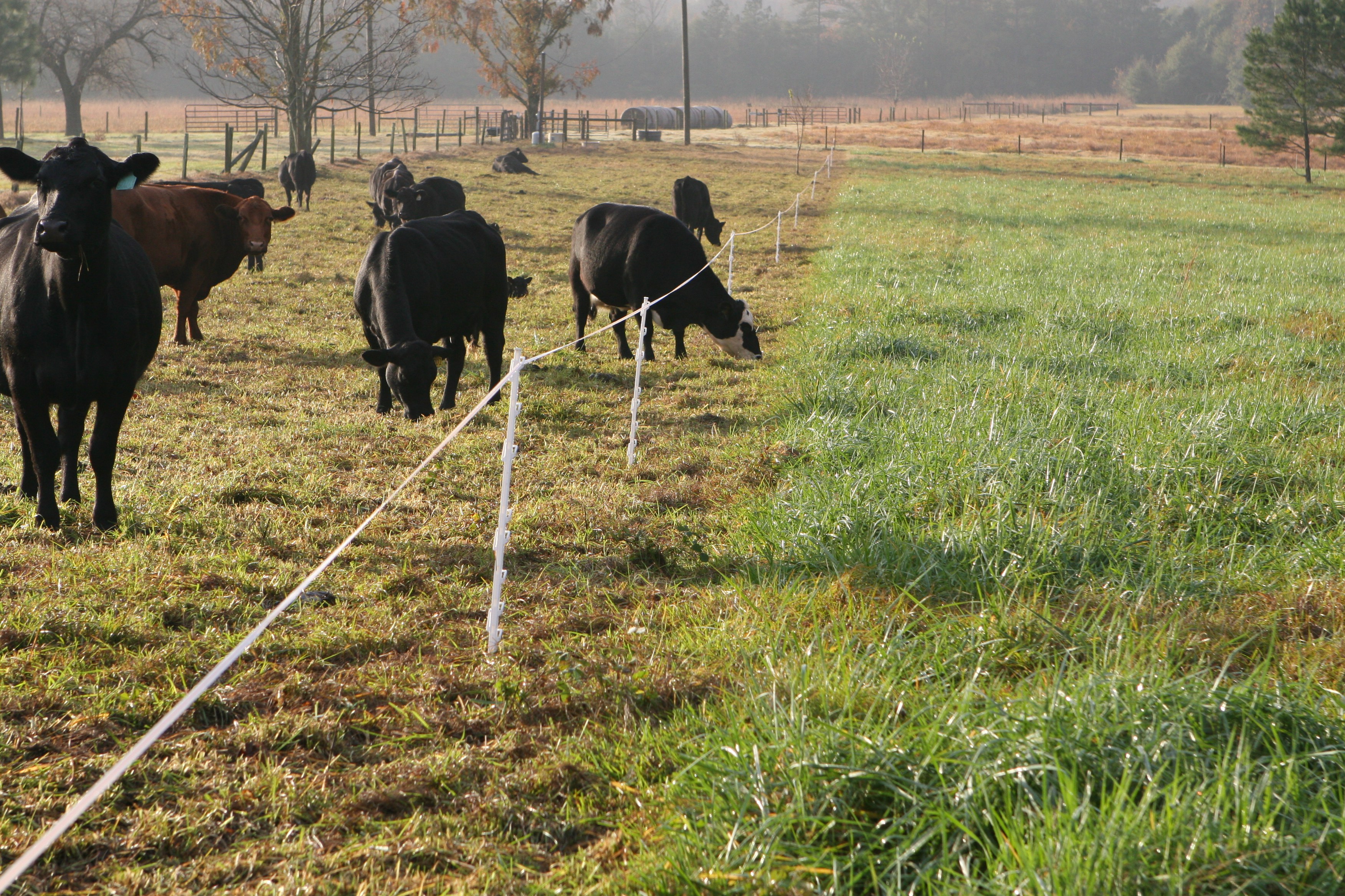 Components of Rotational Grazing