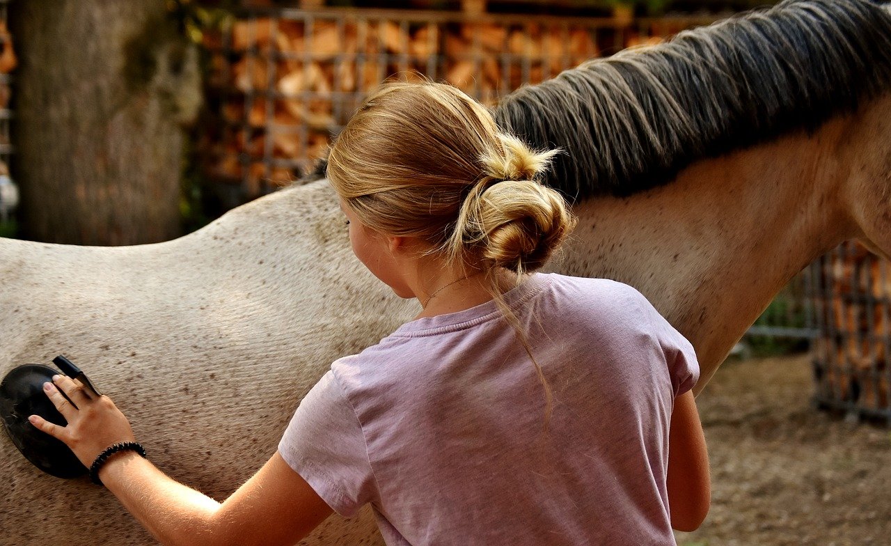 Monitoring Horse Health