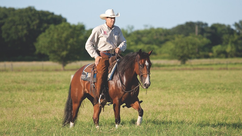 Explore the Countryside on Horseback During a Ranch Vacation