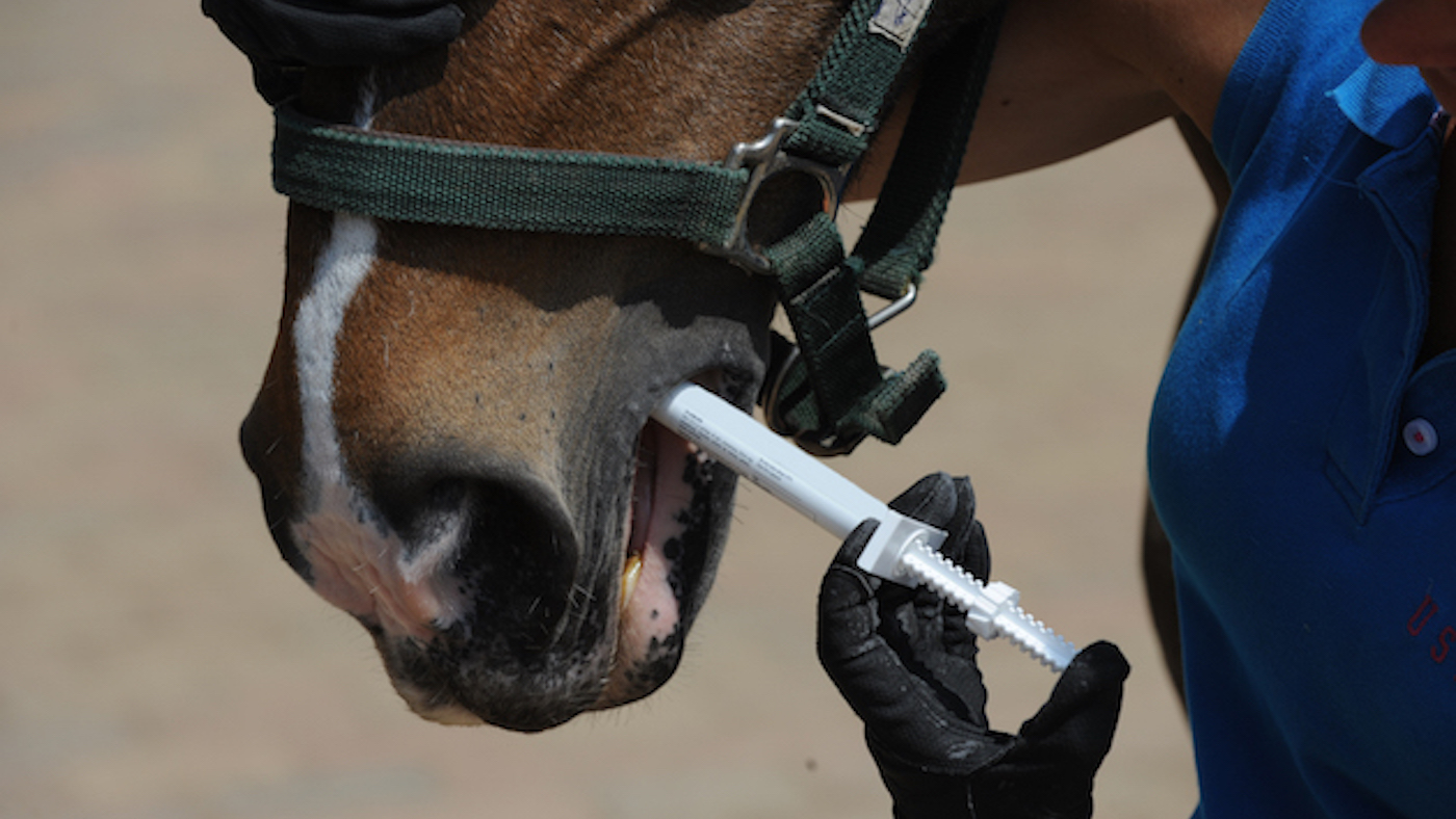 Common Side Effects of Equine Vaccinations